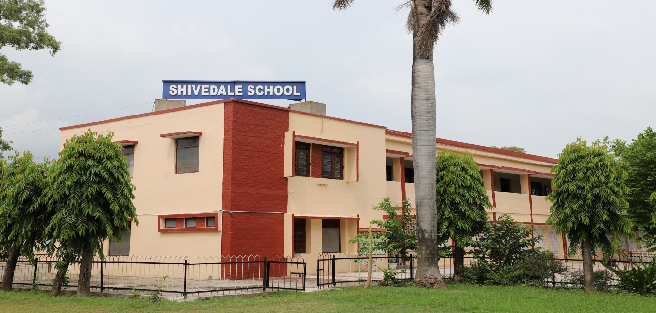 Shivedale School